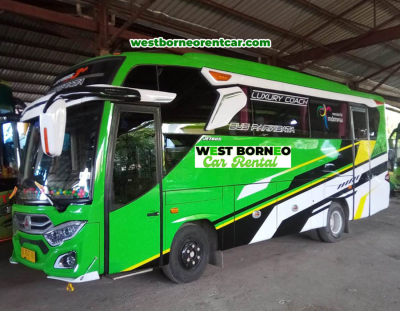 bis_medium 30 seat